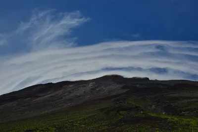 DSC_3645 (Large).JPG